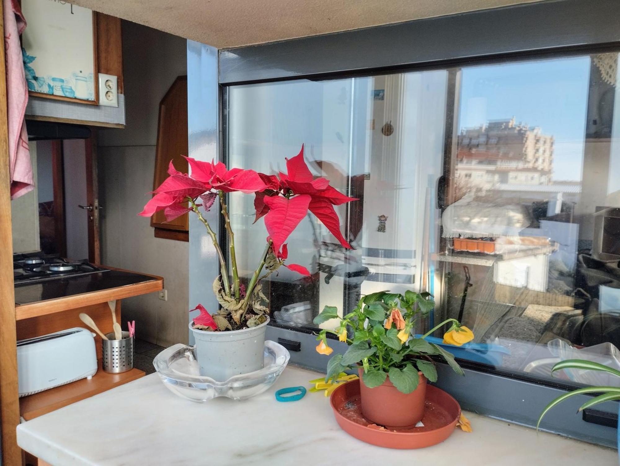 Sweets Suites Espinho Kültér fotó